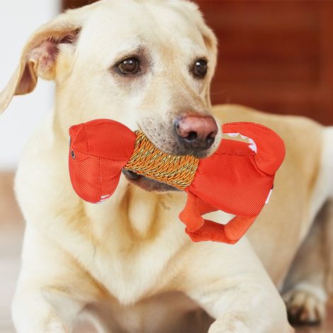 Peluche morbido a forma di dinosauro per animali domestici, ideale per la pulizia e la protezione dei denti, per masticare e mordere, un giocattolo interattivo per l'addestramento dei cani, di colore