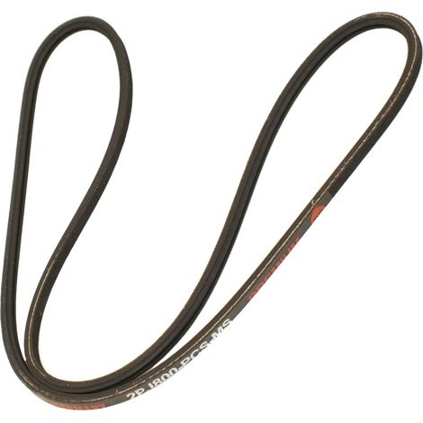Keilrippenriemen PK 2PJ800 (1/2)