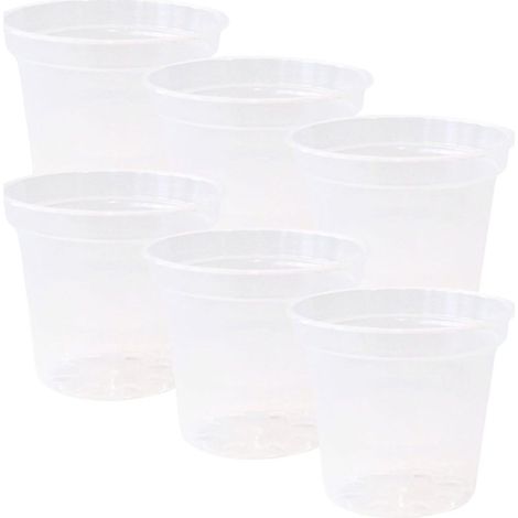 Pots de pépinière transparents, pots de 10 cm avec trous de drainage, pots de fleurs robustes en plastique transparent, pots polyvalents pour plantes d'intérieur et d'extérieur, lot de 6 (1/5)