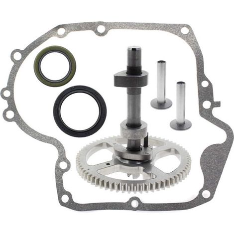 L'arbre à cames 793880 convient aux modèles Briggs & Stratton 793583, 792681, 791942 et 795102. Il peut également remplacer d'autres modèles d'arbres à cames Briggs & Stratton portant la même référenc (1/5)
