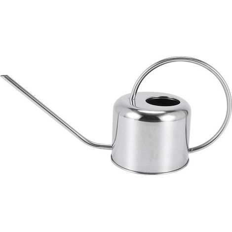 Arrosoir européen en acier inoxydable 900 ml, arrosoir de douche domestique, petit arrosoir pour fleurs (FMY) (1/5)