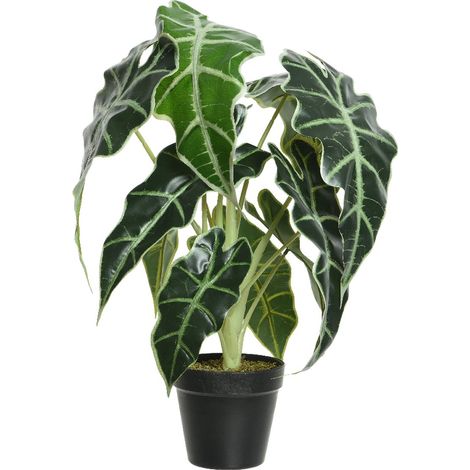Kaemingk Alocasia Grünpflanze im Topf 50 cm - Kunstpflanzen (1/2)