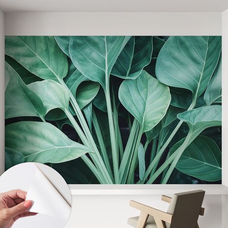 Carta da parati autoadesiva - fotomurale - decorazione parete - stile elegante - decorazione casa - Natura verde 152x104 cm (1/5)