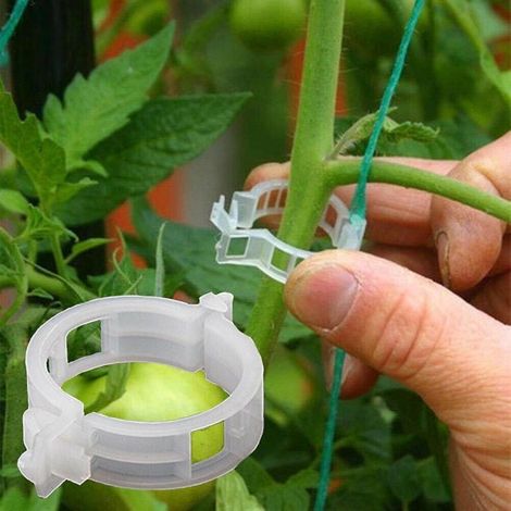 Lot de 100 clips de support en plastique pour plantes de jardin, clips pour tomates (1/5)
