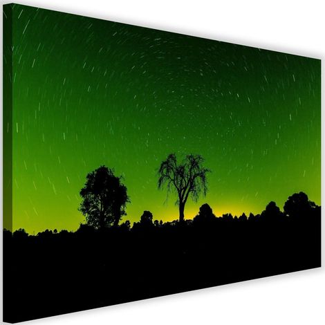 Tableau sur toile Aurora Borealis Forêt verte 60x40 (1/5)