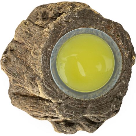 Un baule da tavolo - un porta gelatina per tutti i pappagalli (1/3)