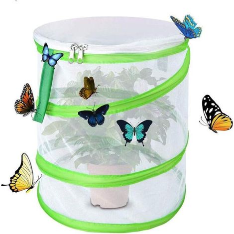Cage d'habitat d'insectes et de papillons Pop Up Cage de protection des plantes d'insectes