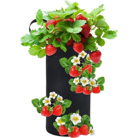 Sacs universels pour fraisiers, pots de fleurs non tissés, sacs pour plants de légumes - 2 pièces