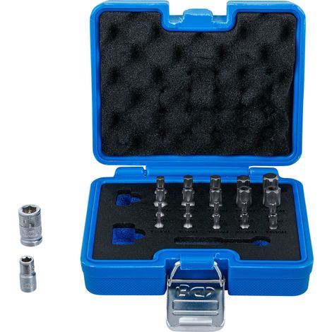 Juego de puntas BGS Technic 5056 23 piezas acero cromo vanadio (1/4)