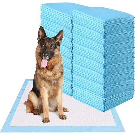 COSTWAY Almohadilla de Entrenamiento para Perros Almohadilla de Pañal Desechable Almohadilla de Higiene para Carros Gatos (75x75cm 150 Piezas) (1/5)