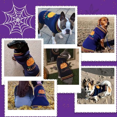 Maglione di Halloween per cani Maglione di Halloween per cani Maglione di Halloween per gatti Costume di Halloween a forma di zucca per cani Costume di Halloween per cani Costume lavorato a maglia per (1/3)