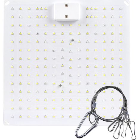 Lampe LED pour plantes succulentes, 50 W, spectre complet, plaque quantique, éclairage de croissance (1/5)