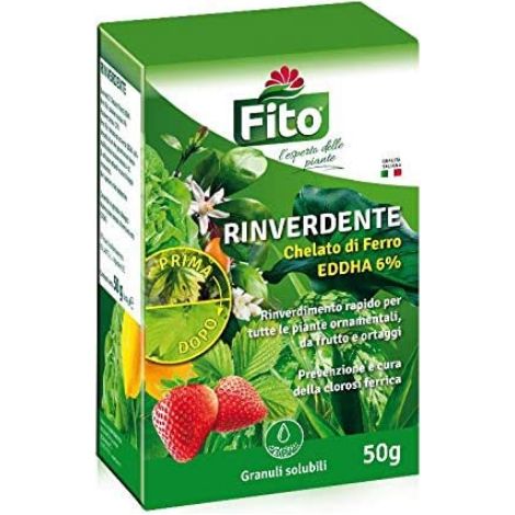 Fito rinverdente 5x10 gr