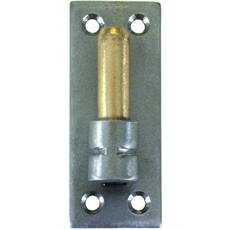 GOND S/PLAQUE INOX 316 D14 40X4X100 AXE LAITON