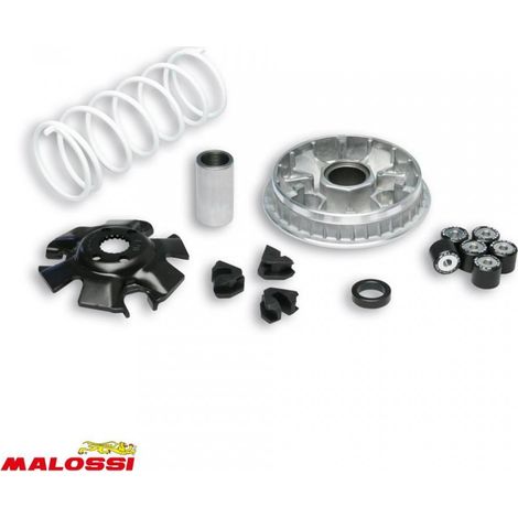 Variator malossi für Roller suzuki 125 uc epicuro nach 2001 neu (1/2)
