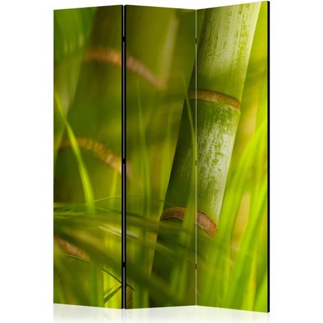 Paravento - bamboo - nature zen [Room Dividers] - 135x172 (1/4)