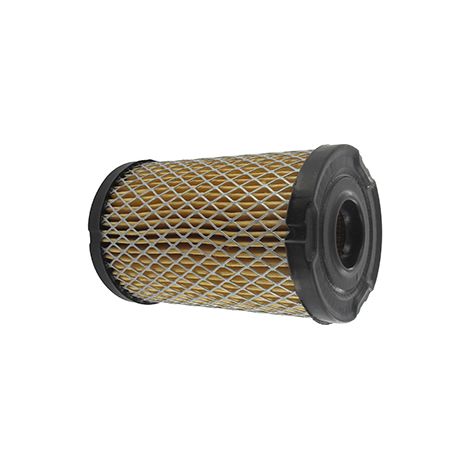 Filtro Air TECUMSEH 34700B