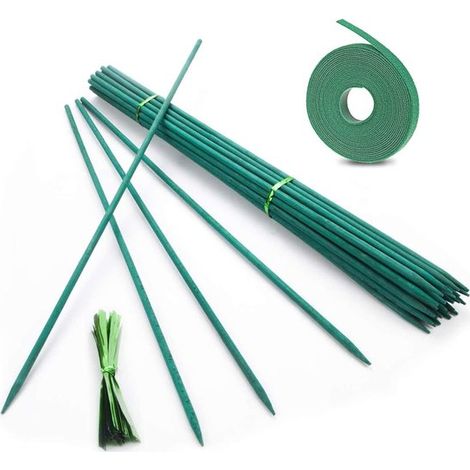 Set mit 50 Bambus Pflanzenstützen (38 cm) mit 50 Metallbändern für Zimmer , Garten und Kletterpflanzen (1/5)