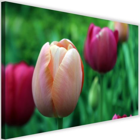 Tableau sur toile Tulipe Rose Fleurs 60x40 (1/5)