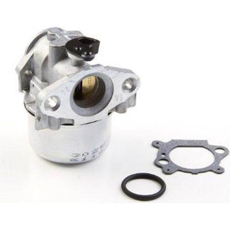 Ricambi Briggs & Stratton Carburatore 799868 (1/5)