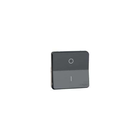 Interrupteur bipolaire - Composable - Connexion auto - Gris - Mureva Styl - MUR35034 - Schneider (1/4)