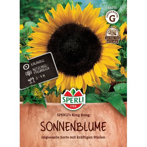 Sonnenblumen SPERLI's King Kong - Blumensamen (1/2)