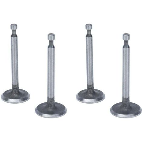 Kit de soupapes de moteur, 2 ensembles de soupapes d'admission antirouille en acier inoxydable pour moteurs à 2KW 2.5KW 3KW 168F GX160 (1/4)