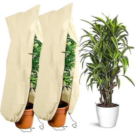 Lot de 2 protections hivernales pour plantes, 120 x 180 cm, protection contre le gel, avec fermeture éclair et cordon de serrage, protection hivernale, pour arbre, palmier, plantes de balcon (1/5)