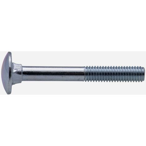Boulon zingué TRCC Viswood Ø6x40mm (lot de 20 boulons)