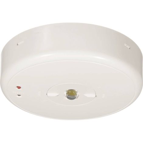 B-SAFETY BL550038 luce di sicurezza Montaggio a soffitto (1/5)