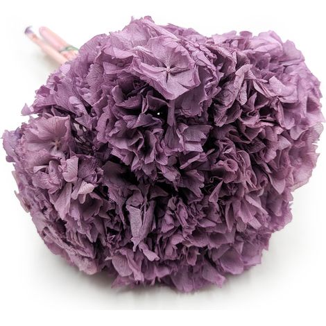 Hortensia estabilizada (Hydrangea) - Morada