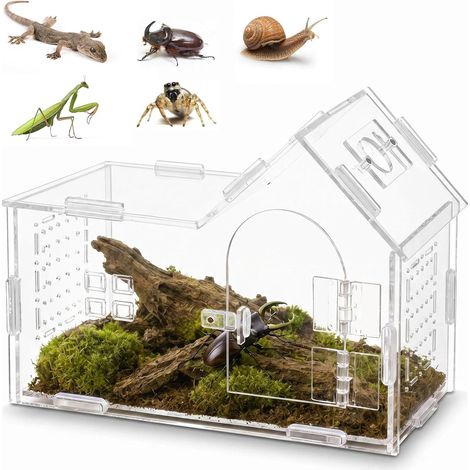 Terrarium Terrarium en Acrylique Boîte d'alimentation pour Reptiles Mini Terrarium pour Insectes (20 x 10 x 15 cm) (1/5)