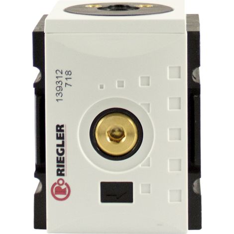 Riegler Rückschlagventil »FUTURA«, BG 2, G 1/2 (1/4)
