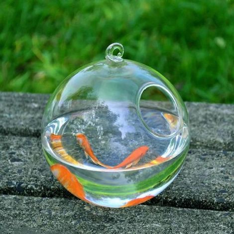 Poisson suspendu créatif pour bureau, aquarium avec support, vase à poissons, maison (1/4)