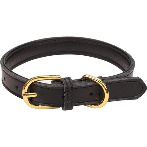 Collier Pour Chien - Cuir Rembourré - Fermoir En Alliage - 5 Trous De Réglage - Tailles S M L (1/5)
