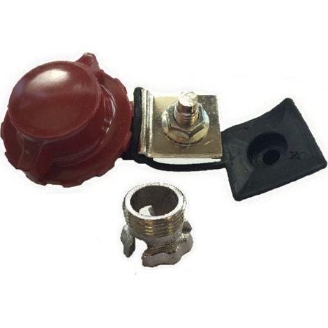 Cosse électrique plate positive pour batterie – Adaptée bornes cylindriques Renault Peugeot – Déconnexion rapide – Section 10mm² – RKG