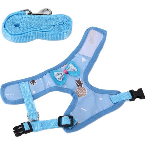 Corde de traction pour poules domestiques, avec sangle ajustable, bleue. (1/5)