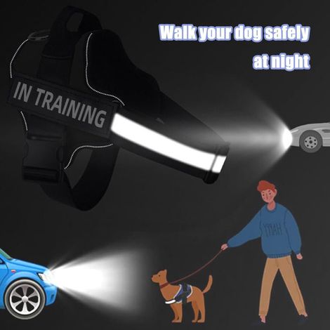 Harnais pour chien réglable avec poignée et bande réfléchissante - Gilet de sécurité confortable pour dressage et marche