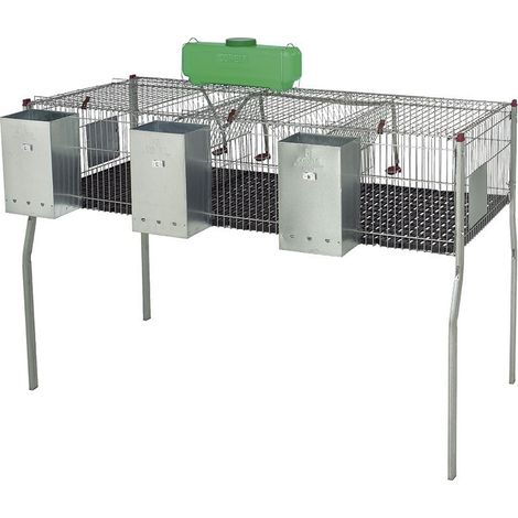 Gabbia per conigli zincata con tramogge e abbeveratoi, 3 scomparti, pavimento in plastica, 157x63x98 cm
