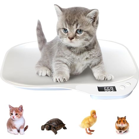 Balance Chat 15kg/1g - Mini Balance Numérique pour Petit Animal Avec 3 Modes de Pesée (kg/oz/lb) et Écran LCD - Pour Chatons, Chiots (1/5)