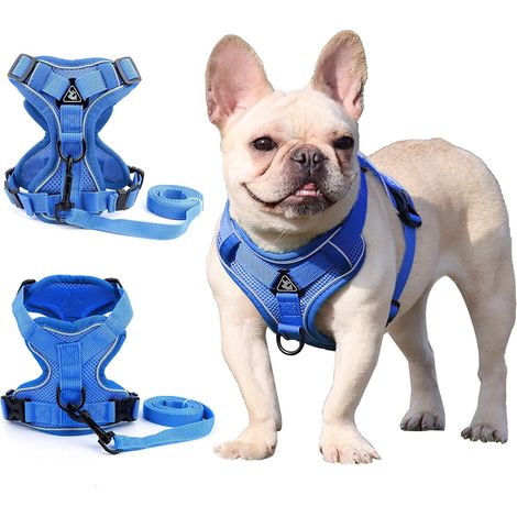 Harnais pour chien de petite et moyenne taille (bleu XL)-Fei Yu
