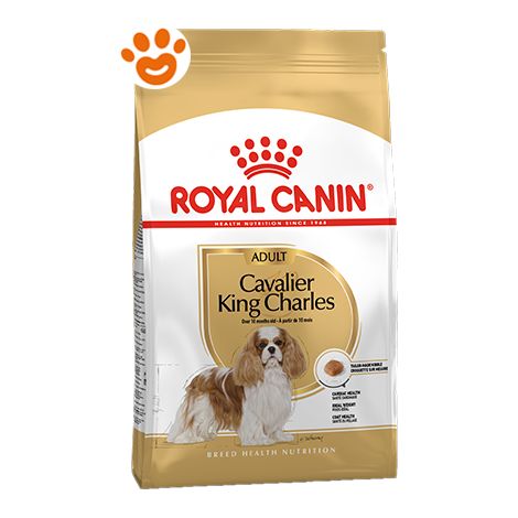 Royal Canin Dog Adult Cavalier King Charles - Royal Canin Dog Adult Cavalier King Charles - Sacco Da 1,5 Kg