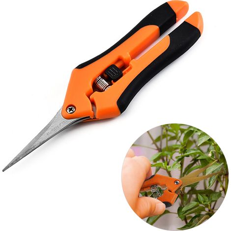 Ciseaux de jardin de printemps - Ciseaux d'élagage de jardin - Outil d'élagage en acier inoxydable