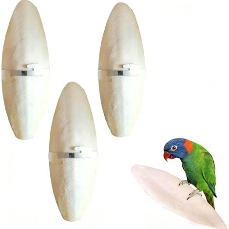 Os de Seiche Oiseaux,3PCS Os Seiche,Os de Seiche pour Tortue,Os de Seiche Perroquet,Os de Seiche Naturelle,Os de Seiche Jouets à Mâcher,avec 3 Supports en Métal et 1 Boîte en Plastique,11-13cm (1/5)