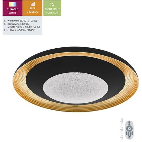 Plafoniera Moderna Canicosa 2 Policarbonato Nero Luce Led Integrato 24,5W (1/5)