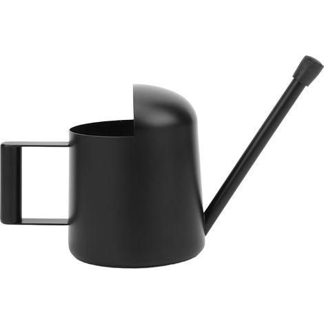 Arrosoir Acier Inoxydable 300ml Bec Long Précis Noir Compact pour Plantes d'Intérieur et Bonsaï Design Élégant (1/5)