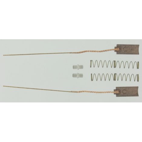 Juego de escobillas 2501127014022 Bosch