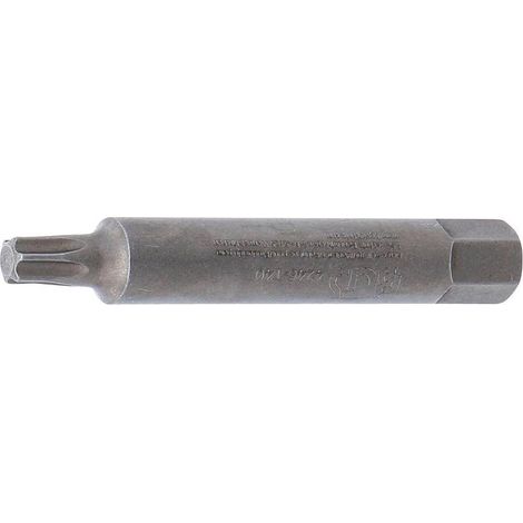 Embout T40 Torx 10 mm (3/8) - L. 75 mm - Précision et Durabilité, Acier, Pro - D-Work (1/5)
