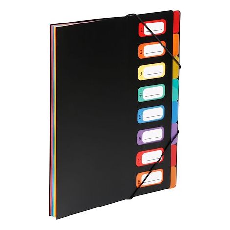 Trieur plastique Viquel Rainbow à soufflet 8 divisions noir (1/4)
