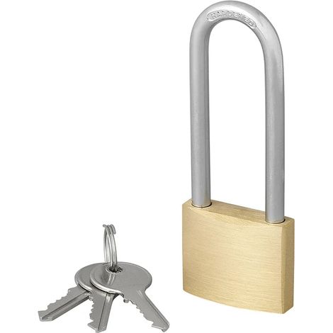 Cadenas proplus 40 mm anse longue 75 mm 3 clés (1/5)